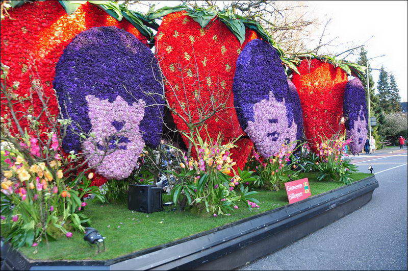  Bloemencorso - ��������� ������ � ����������� (26 ����)  