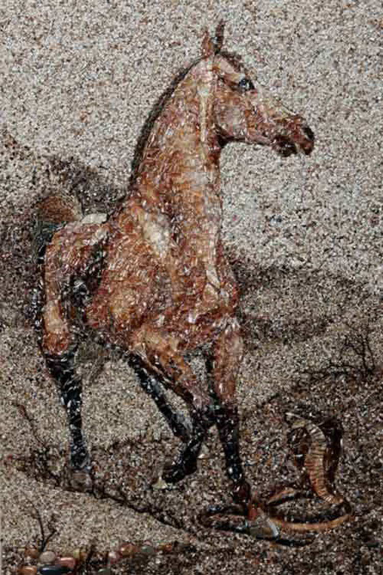  �������-���������� ������� �������� ���������  