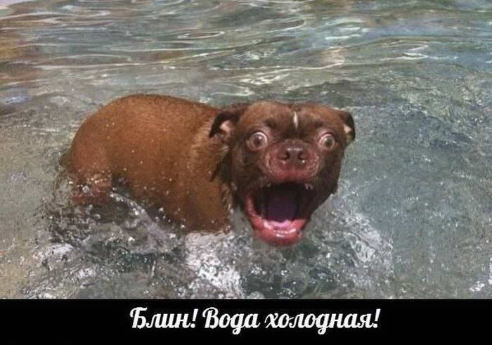  ���������� �������� (90 ����)  