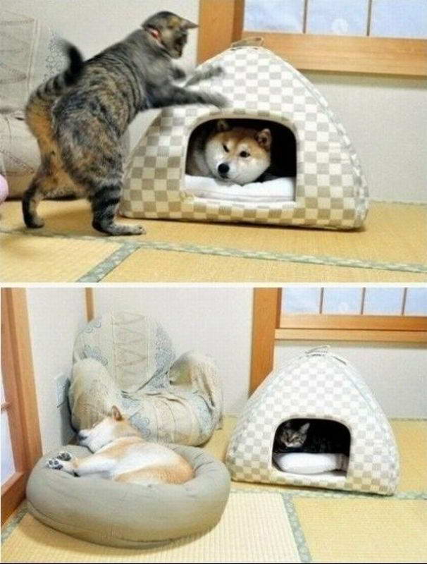  ���������� �������� (90 ����)  