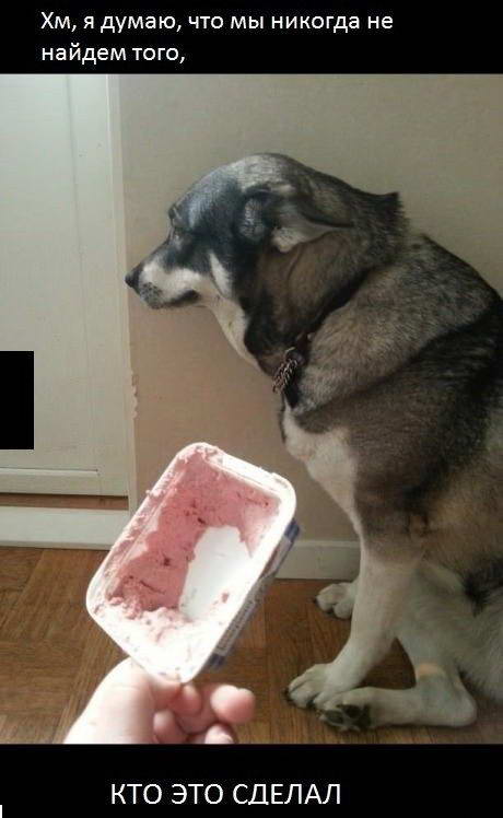  ���������� �������� (90 ����)  