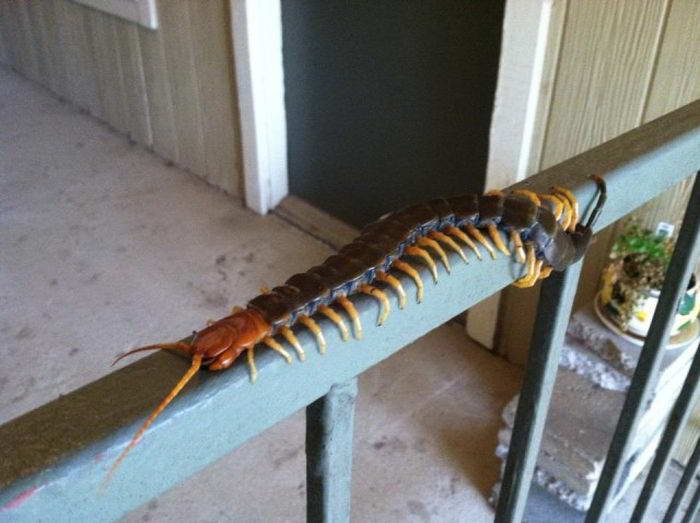  ���������� �������� (90 ����)  