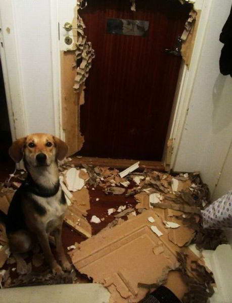  ���������� �������� (90 ����)  