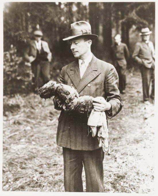  ����� ��������� � ����������� ������� ������ (32 ����)  