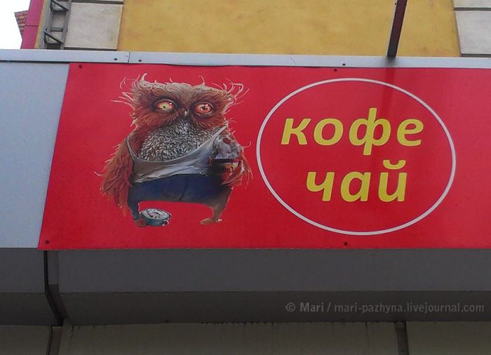  ���������� �������, �������, ���������� (29 ����)  