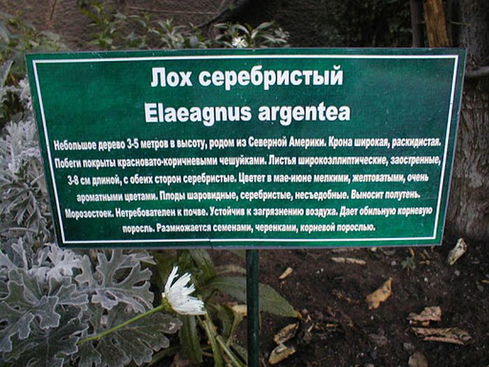  ���������� �������, �������, ���������� (29 ����)  