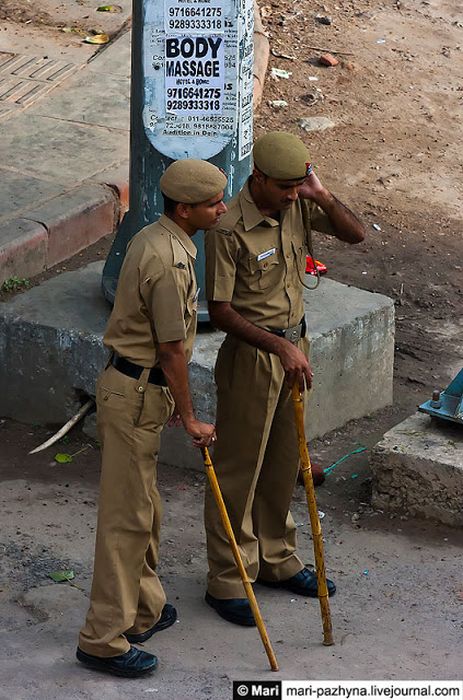  ���������� �������, �������, ���������� (29 ����)  