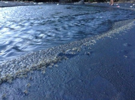  ����� ���� � ��������� (11 ����)  