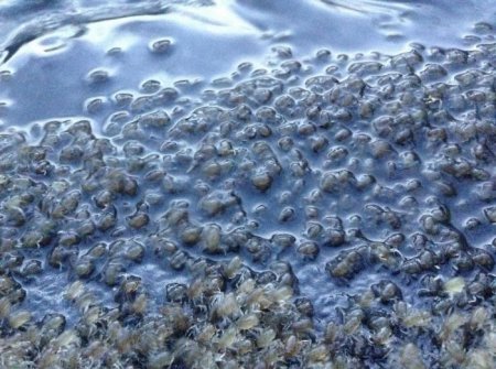  ����� ���� � ��������� (11 ����)  