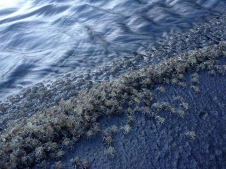  ����� ���� � ��������� (11 ����)  