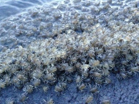  ����� ���� � ��������� (11 ����)  