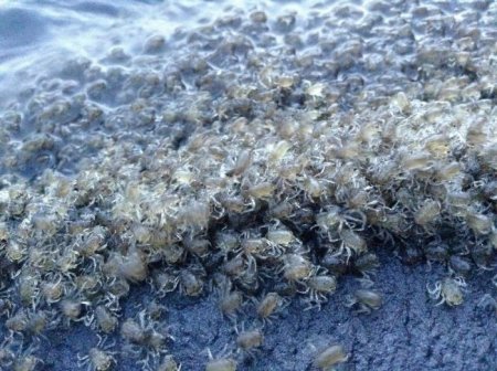  ����� ���� � ��������� (11 ����)  