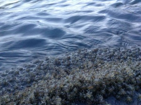  ����� ���� � ��������� (11 ����)  