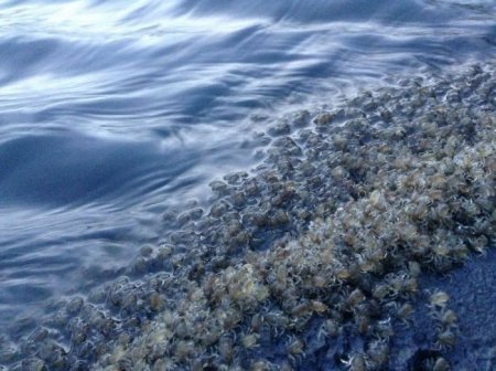  ����� ���� � ��������� (11 ����)  