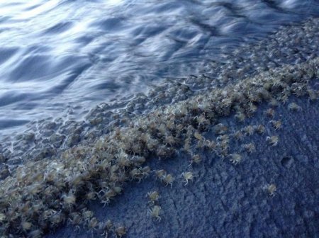  ����� ���� � ��������� (11 ����)  