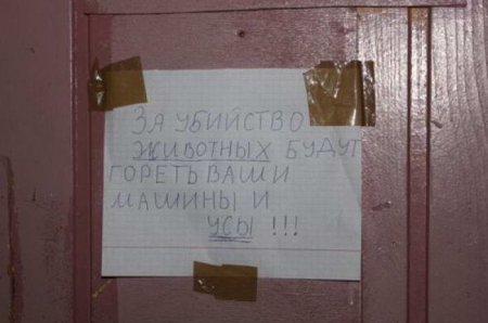    (73 )  