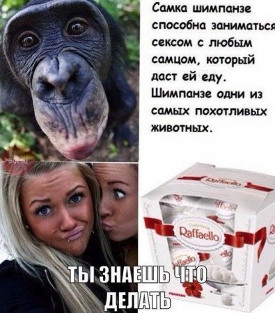    (73 )  