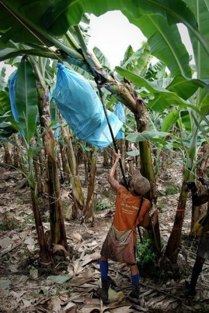  ��� �������� � ���������� ������ (15 ����)  