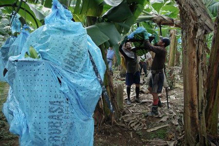  ��� �������� � ���������� ������ (15 ����)  