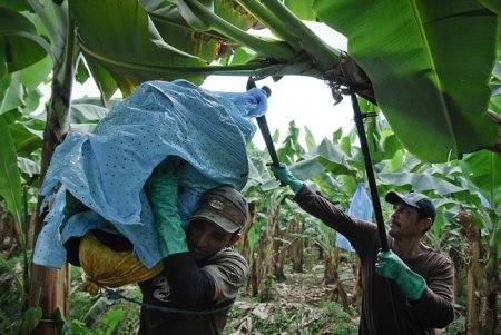  ��� �������� � ���������� ������ (15 ����)  