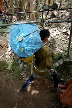  ��� �������� � ���������� ������ (15 ����)  