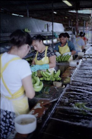  ��� �������� � ���������� ������ (15 ����)  