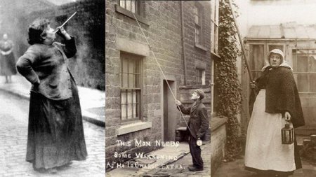  ������, �� ����� �� ����� (14 ���� + �����)  