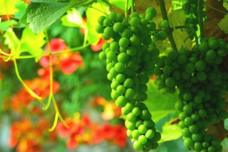  ������, �� ����� �� ����� (14 ���� + �����)  