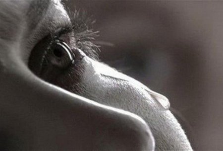  ������, �� ����� �� ����� (14 ���� + �����)  