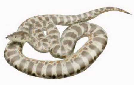  ������, �� ����� �� ����� (14 ���� + �����)  