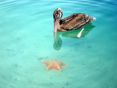  ���� ������� ����� � ���� ���� ����� (17 ����)  