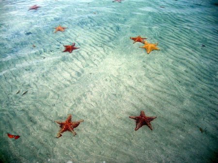  ���� ������� ����� � ���� ���� ����� (17 ����)  