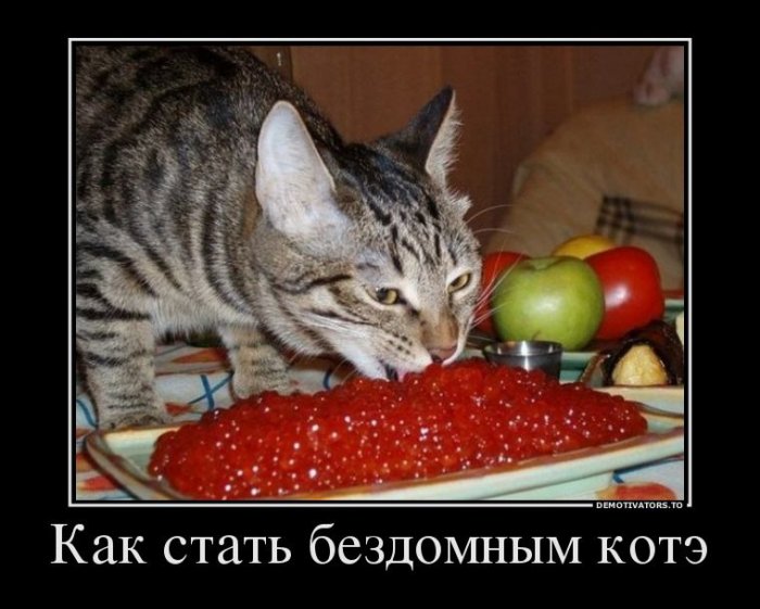 ,    ?  !