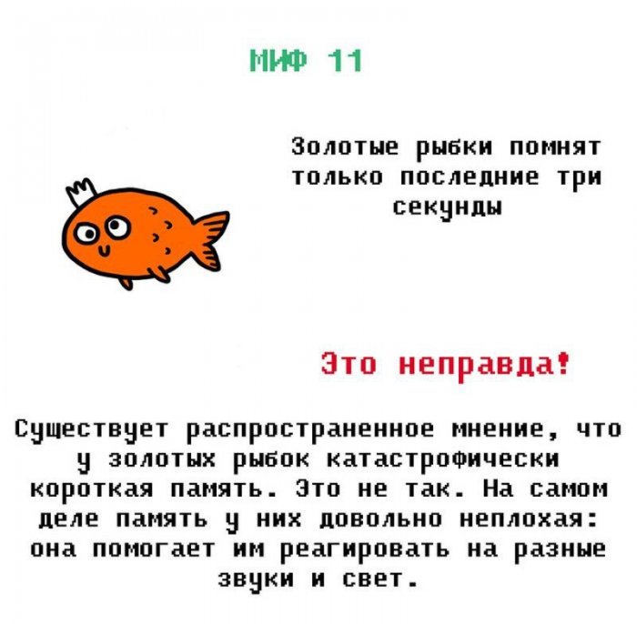 ������� ��������� ��� ������ �����?