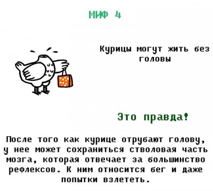 ������� ��������� ��� ������ �����?