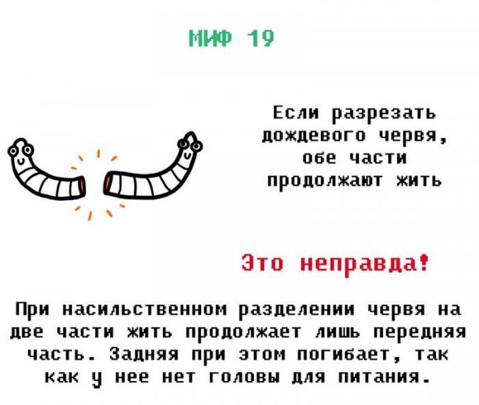 ������� ��������� ��� ������ �����?