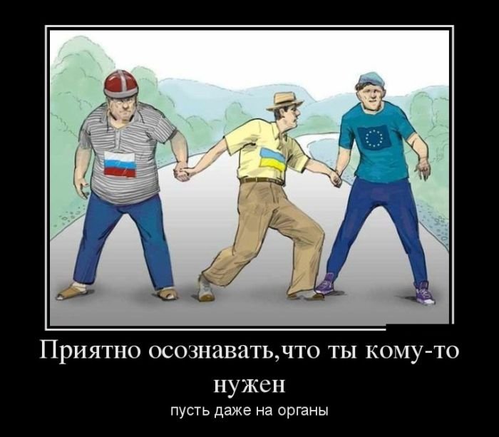  -  ,   