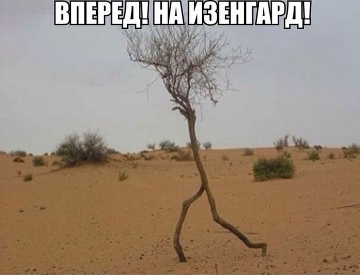  !