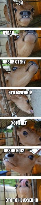 , , 