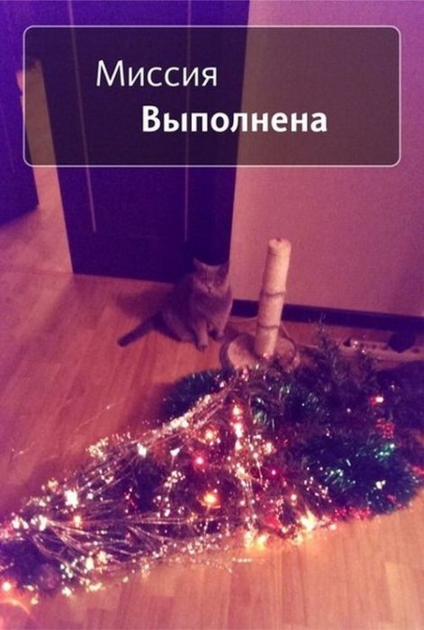  !