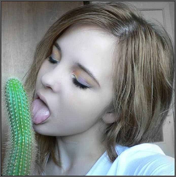  +  =  