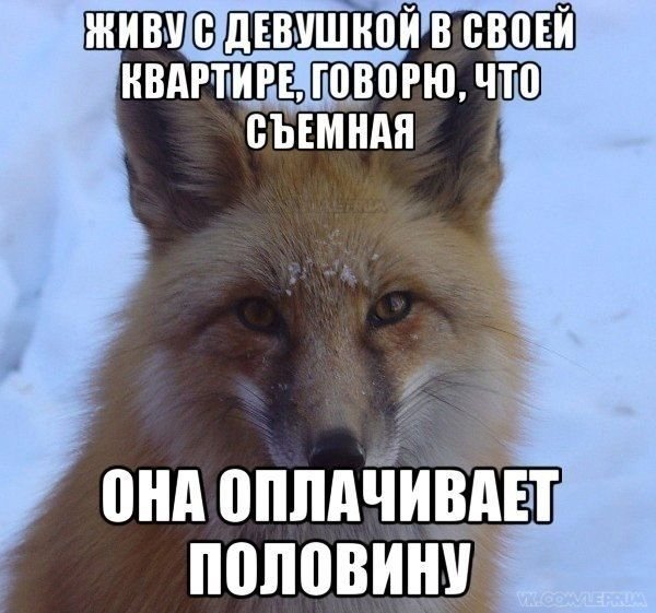 - 