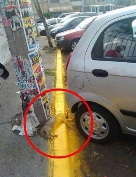 - 
