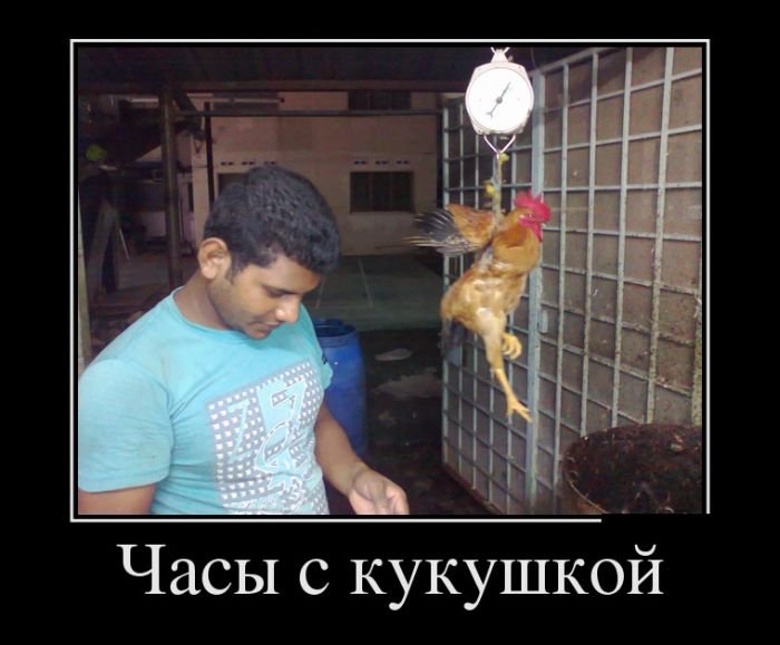  , ...