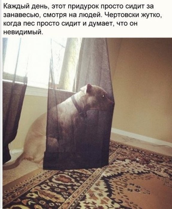 - 