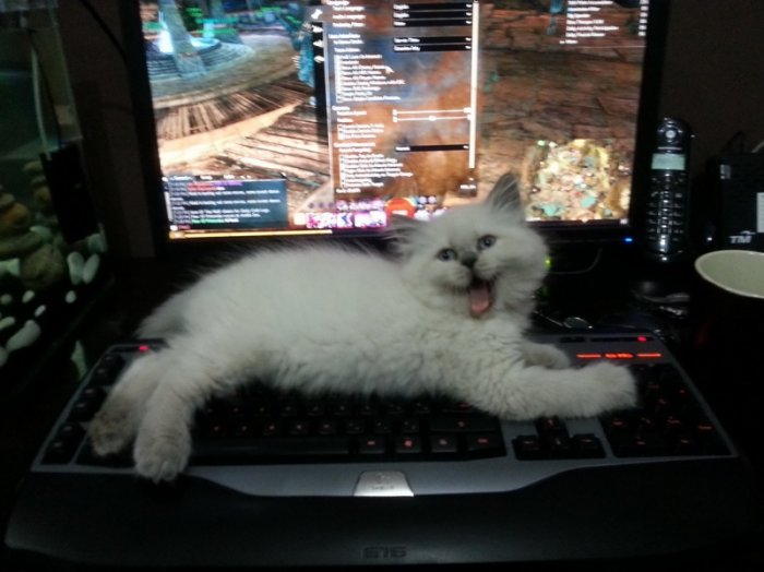  -  !